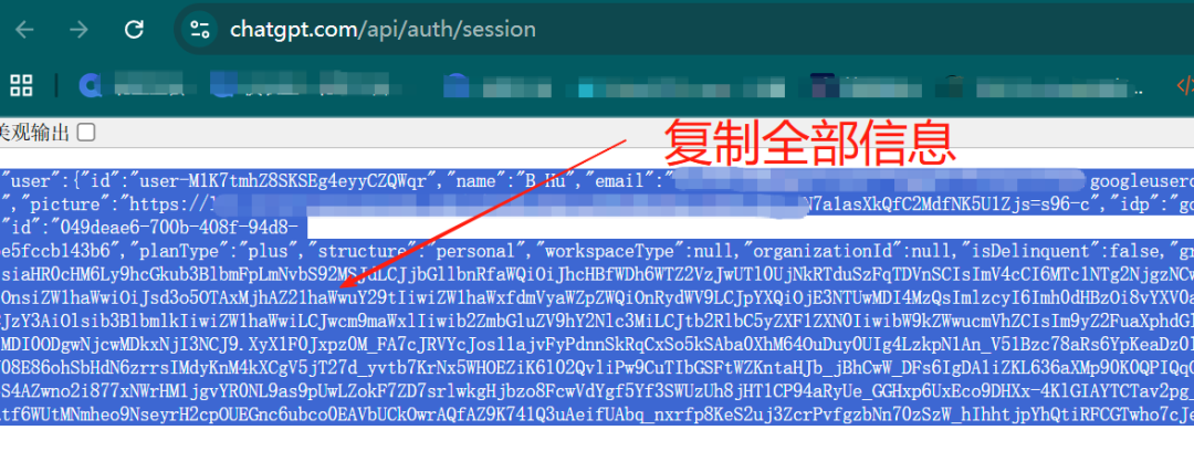 GPT充值步骤5：复制会话信息