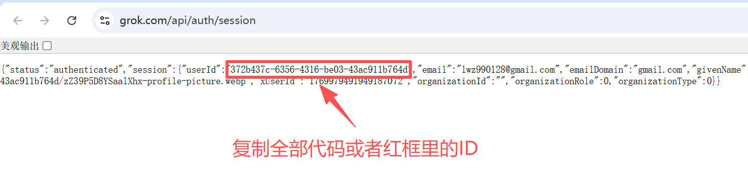 Grok充值步骤5：复制用户ID